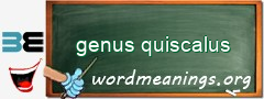 WordMeaning blackboard for genus quiscalus